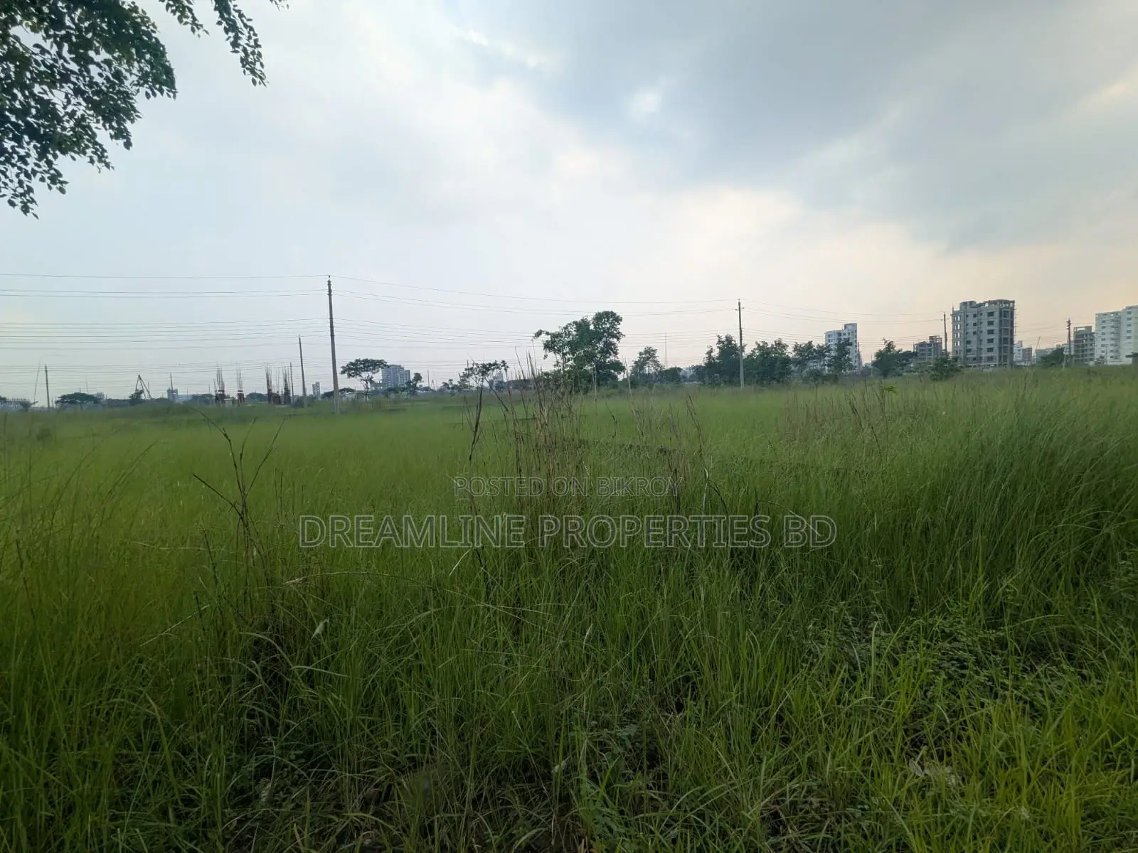 3 Katha South Facing Plot in N Block Near Bashundhara Sports City