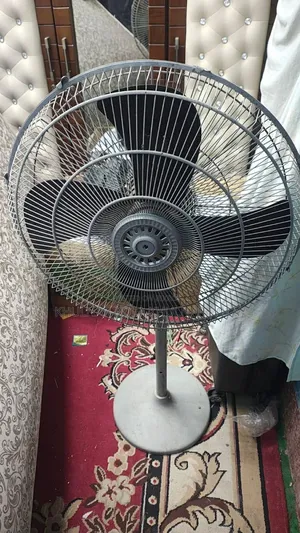 স্ট্যান্ড ফ্যান