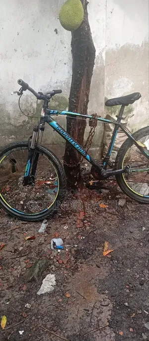 Bicycle for Sale