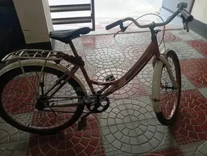 লেডিস সাইকেল