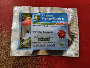 বিএস এফবি ফেরো কাজ ভালো করে।