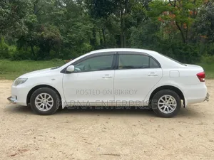 Toyota Axio 2009 White