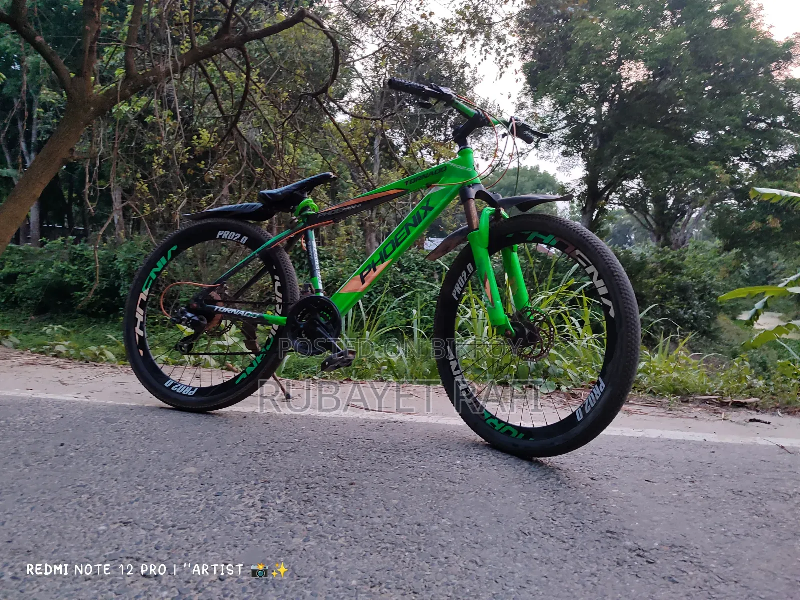 Phoenix Cycle, Power Performance