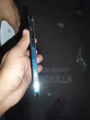 Apple iPhone 13 256 GB