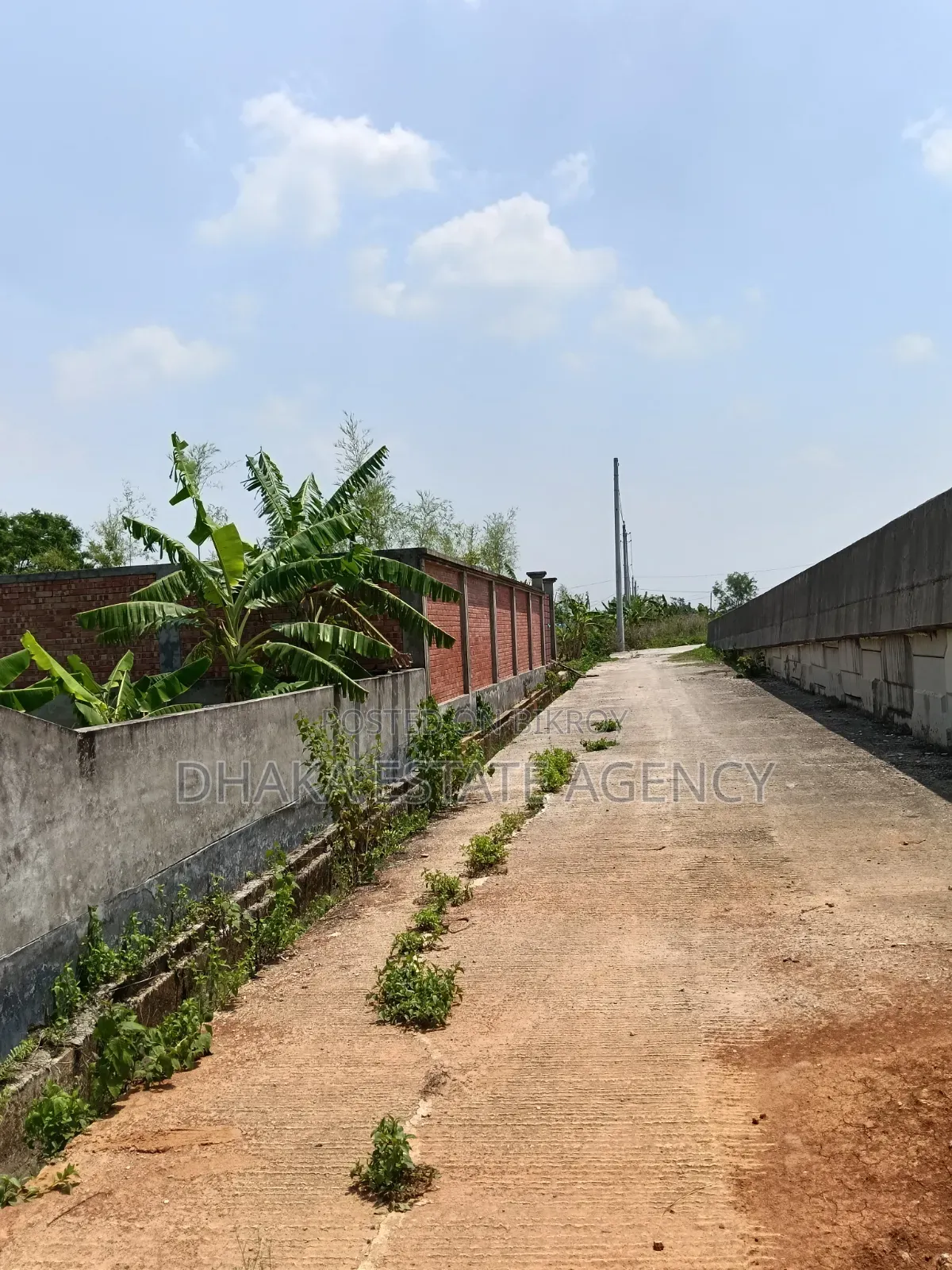 Sector-9, Box Corner South/East 3 Katha