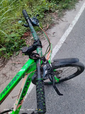 Phoenix Cycle, Power Performance