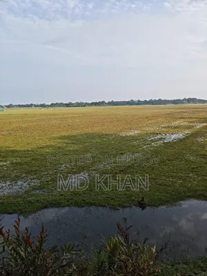 সুন্দর পয়েন্টে জমি