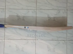Ss Impact Cricket Bat