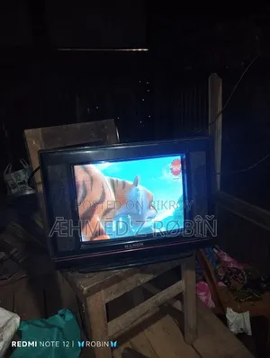Rangs 19" Tv