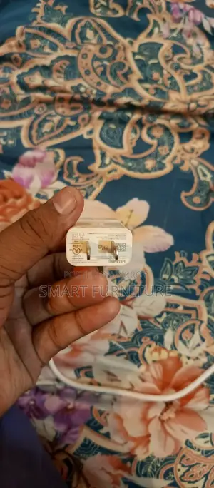5 Watt iPhone Carger
