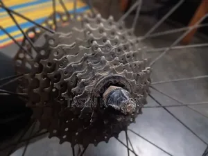 Gear Cycle Rear Wheel.