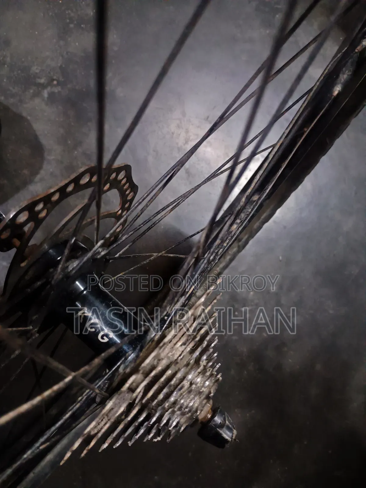 Gear Cycle Rear Wheel.