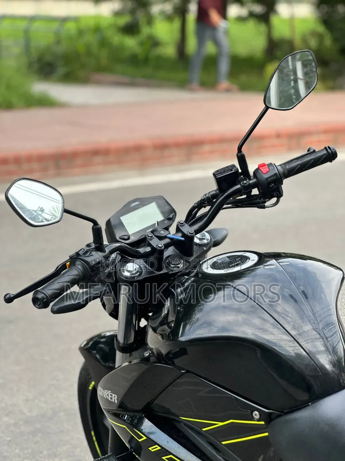 Suzuki 2025 Green