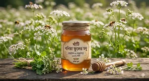 Order Our Authentic Coriander Flower Honey