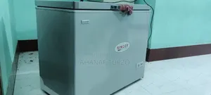 Singer Deep Fridge