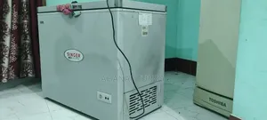 Singer Deep Fridge