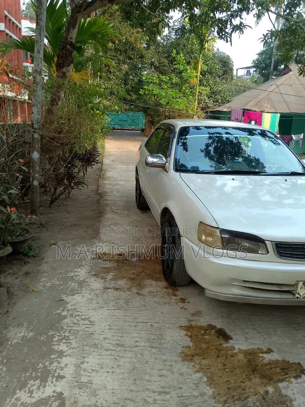 Toyota Corolla 1997 White
