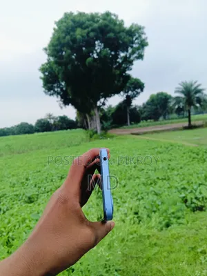 Xiaomi Poco C65 256 GB Blue