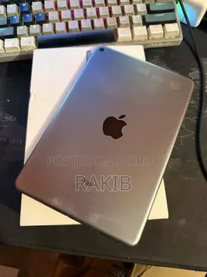 Apple iPad Mini 5 4 GB Silver
