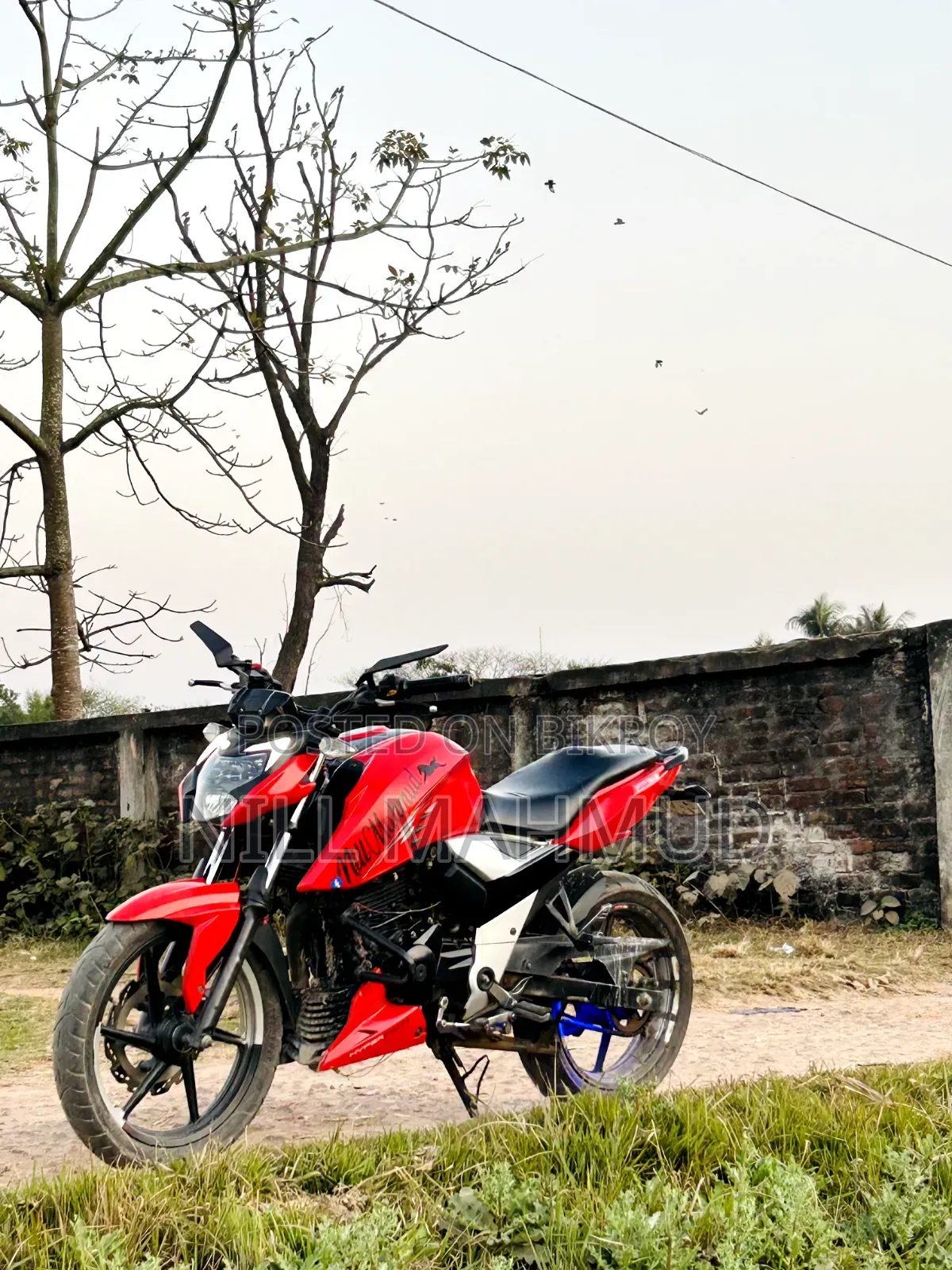 TVS Apache 160 4V 2021 Red