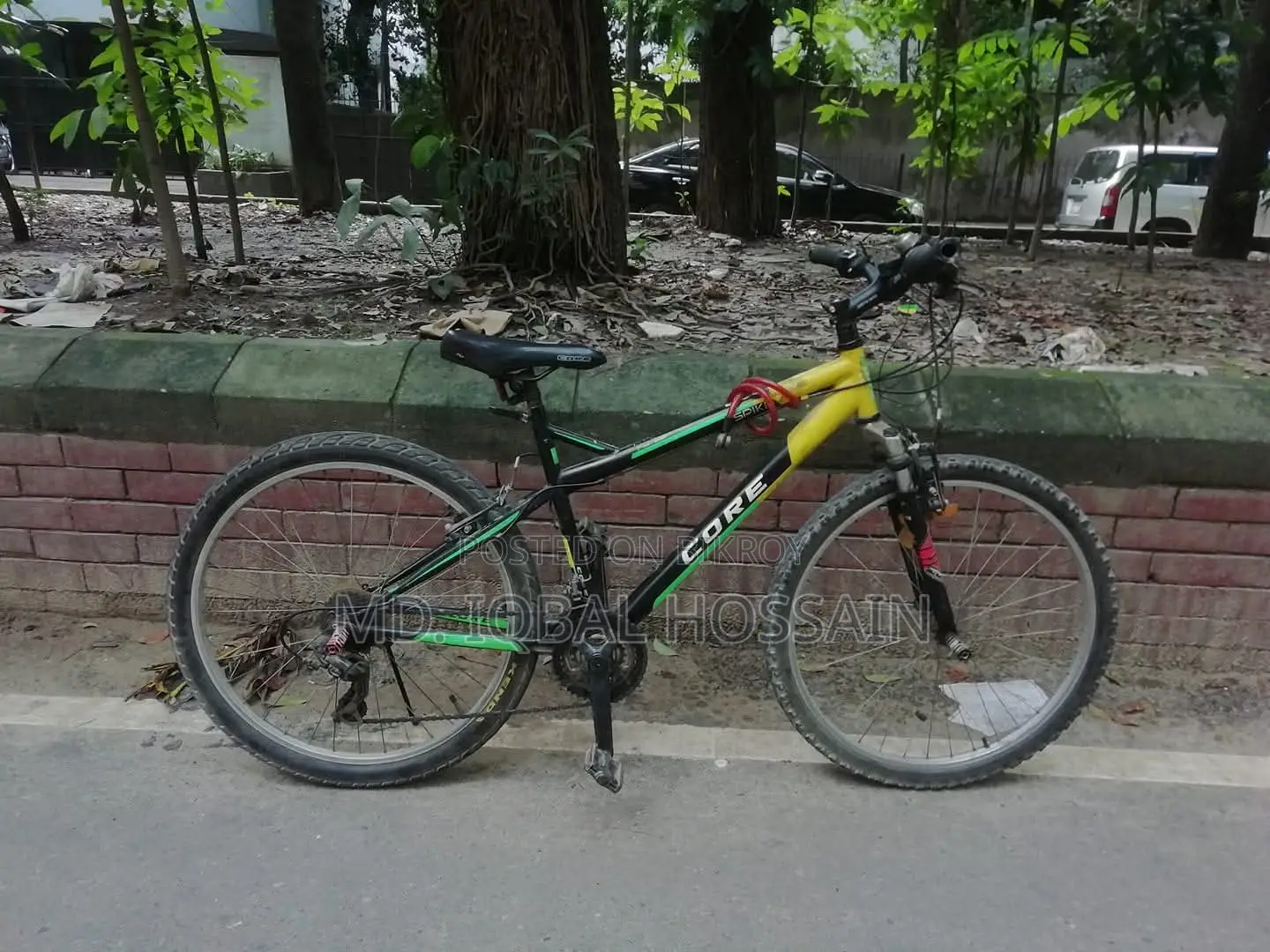 Lion Core Spike Mountain Bike (Good Condition)