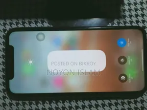 iPhone 11 Display