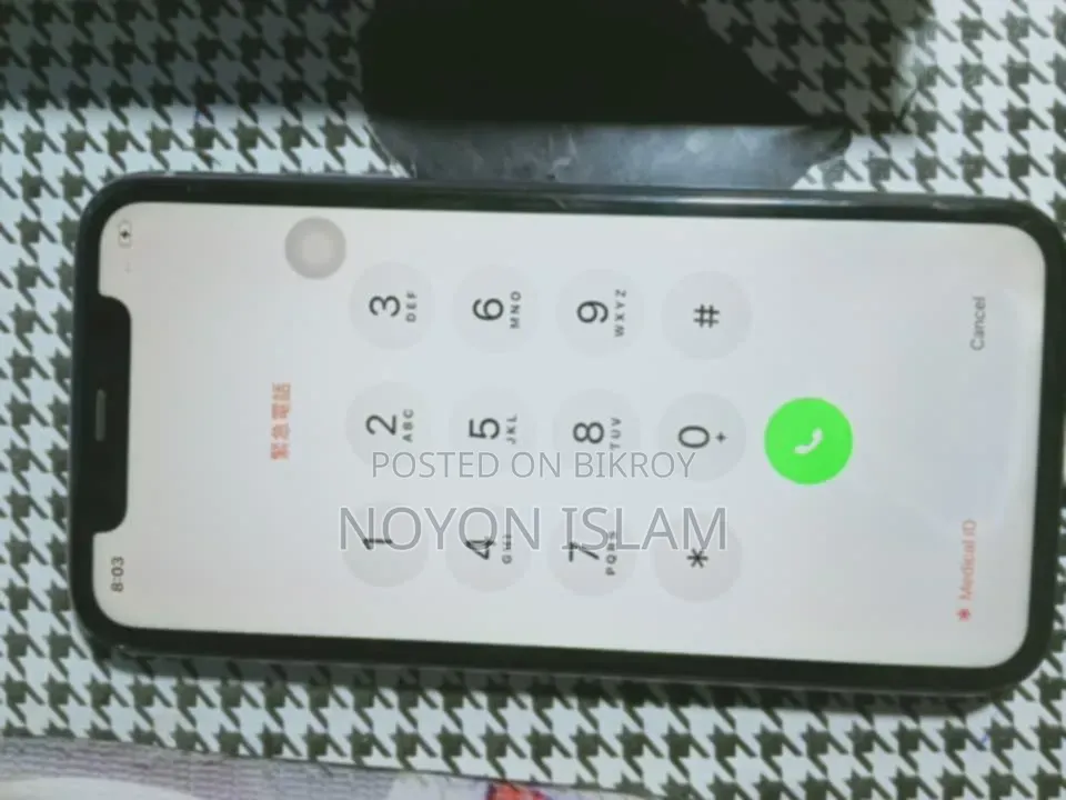 iPhone 11 Display