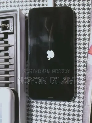 iPhone 11 Display