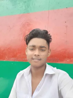 My Cv Shayor