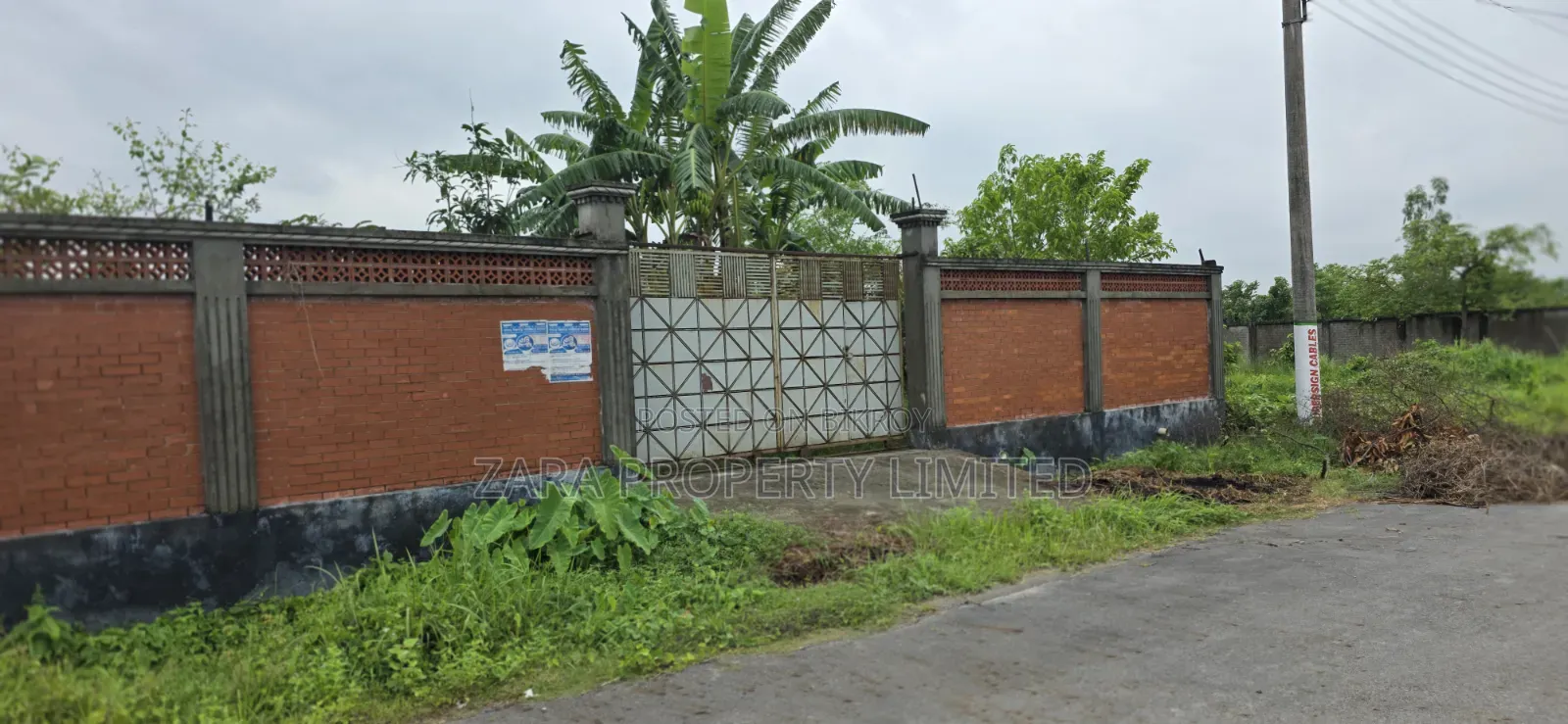 3 Katha Plot for Sale in Sector 29 at a Low Budget.
