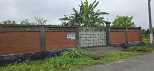3 Katha Plot for Sale in Sector 29 at a Low Budget.