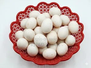 মিশরী ফাওমি মুরগির বীজ ডিম