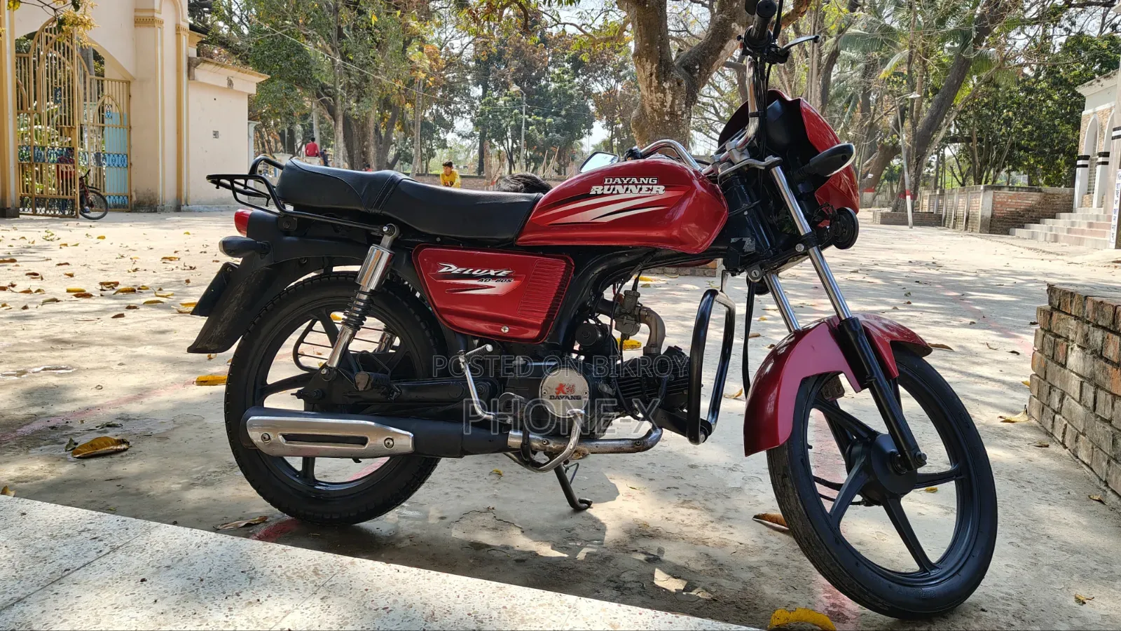 New Dayang APOLLO 2019 Red