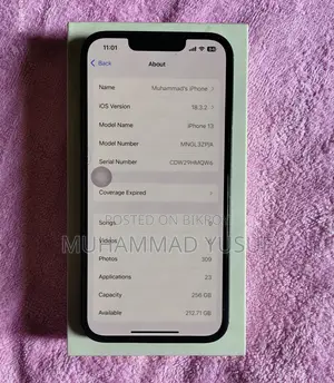 Apple iPhone 13 256 GB Green