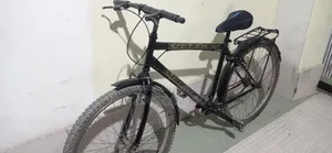 Ranger Max Cycle