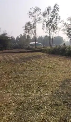 120 Bigha Agricultural Land for Sale in Bhaluka