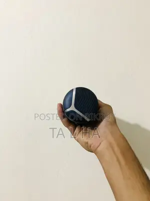 Sounds Speaker
