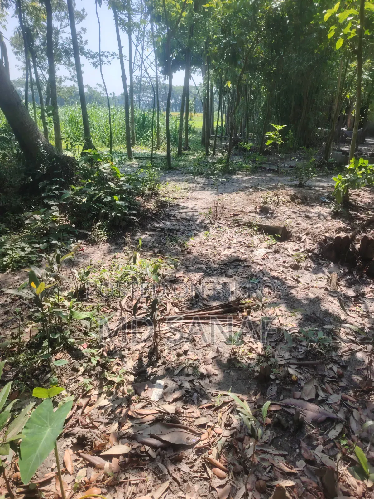 Land for Sale