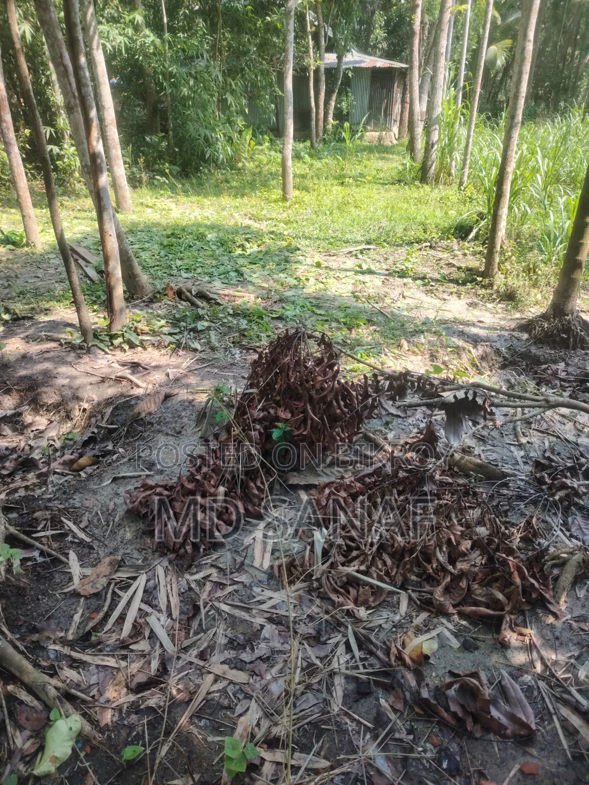 Land for Sale