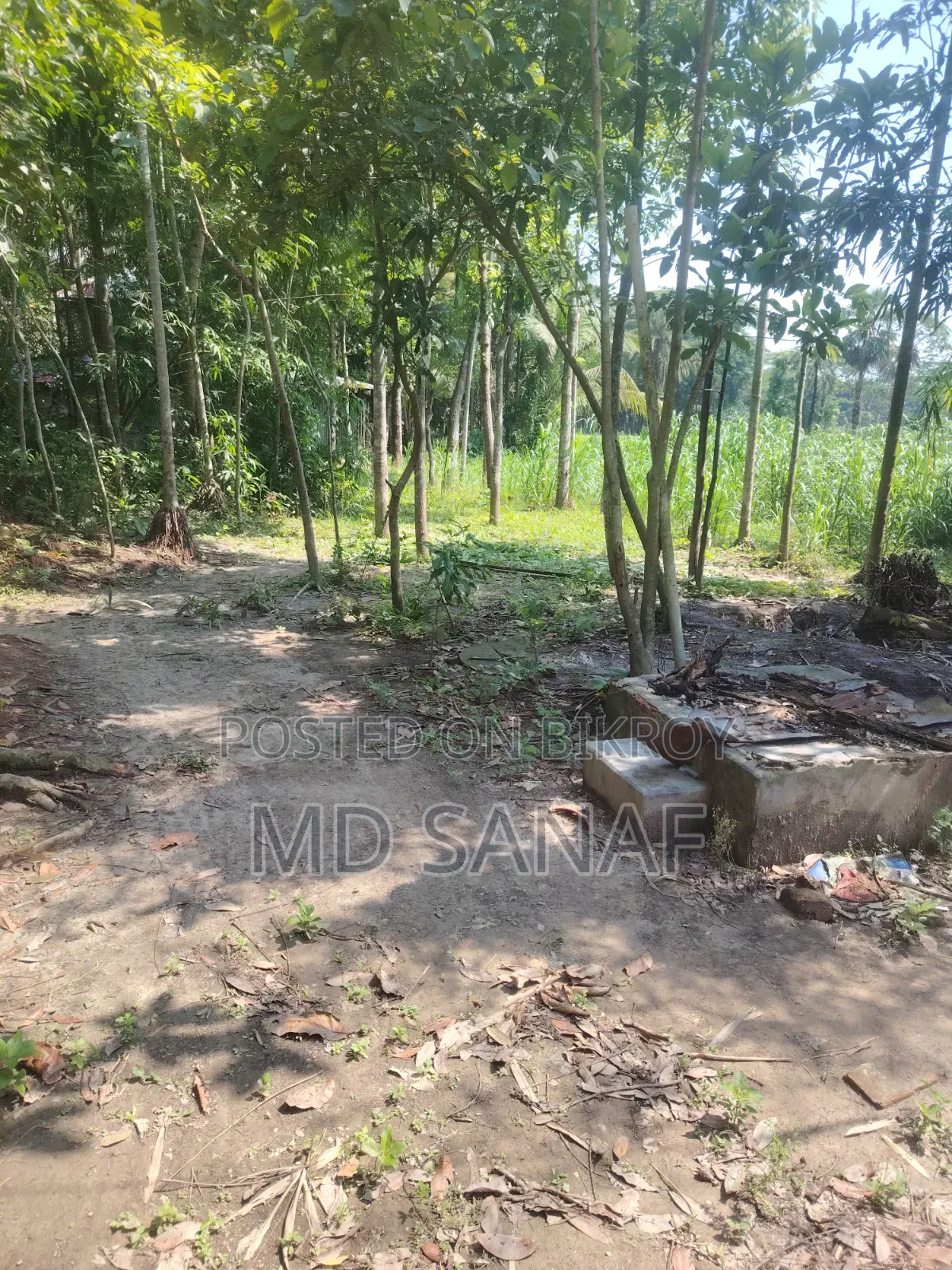 Land for Sale