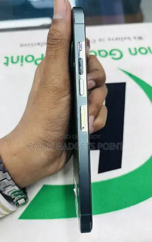 Apple iPhone 13 Pro Max 256 GB Green
