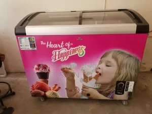 Walton Ice Cream Freezer 270 LTR - WCG-2g0-CGXX-Xx