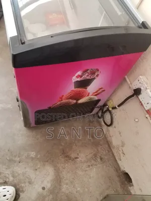 Walton Ice Cream Freezer 270 LTR - WCG-2g0-CGXX-Xx