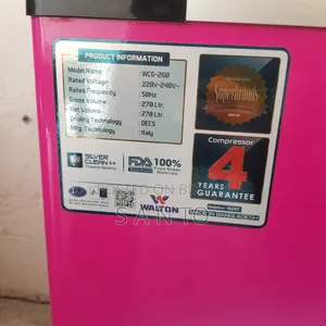 Walton Ice Cream Freezer 270 LTR - WCG-2g0-CGXX-Xx