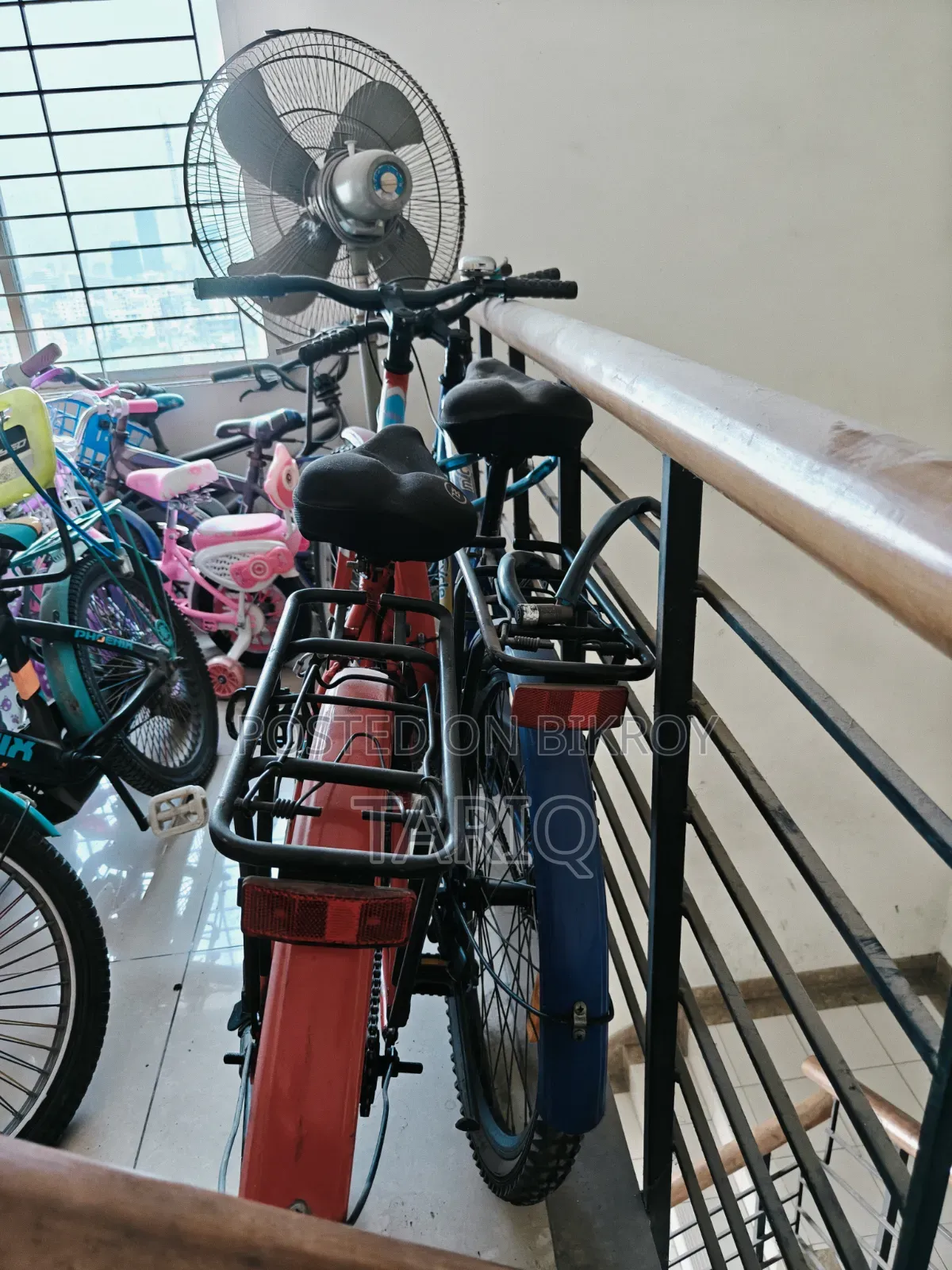 ২ টি দুরন্ত (Duranta) বাই সাইকেল