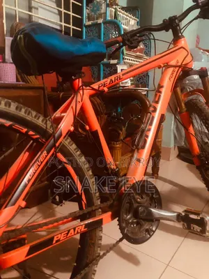 Forever Cycle