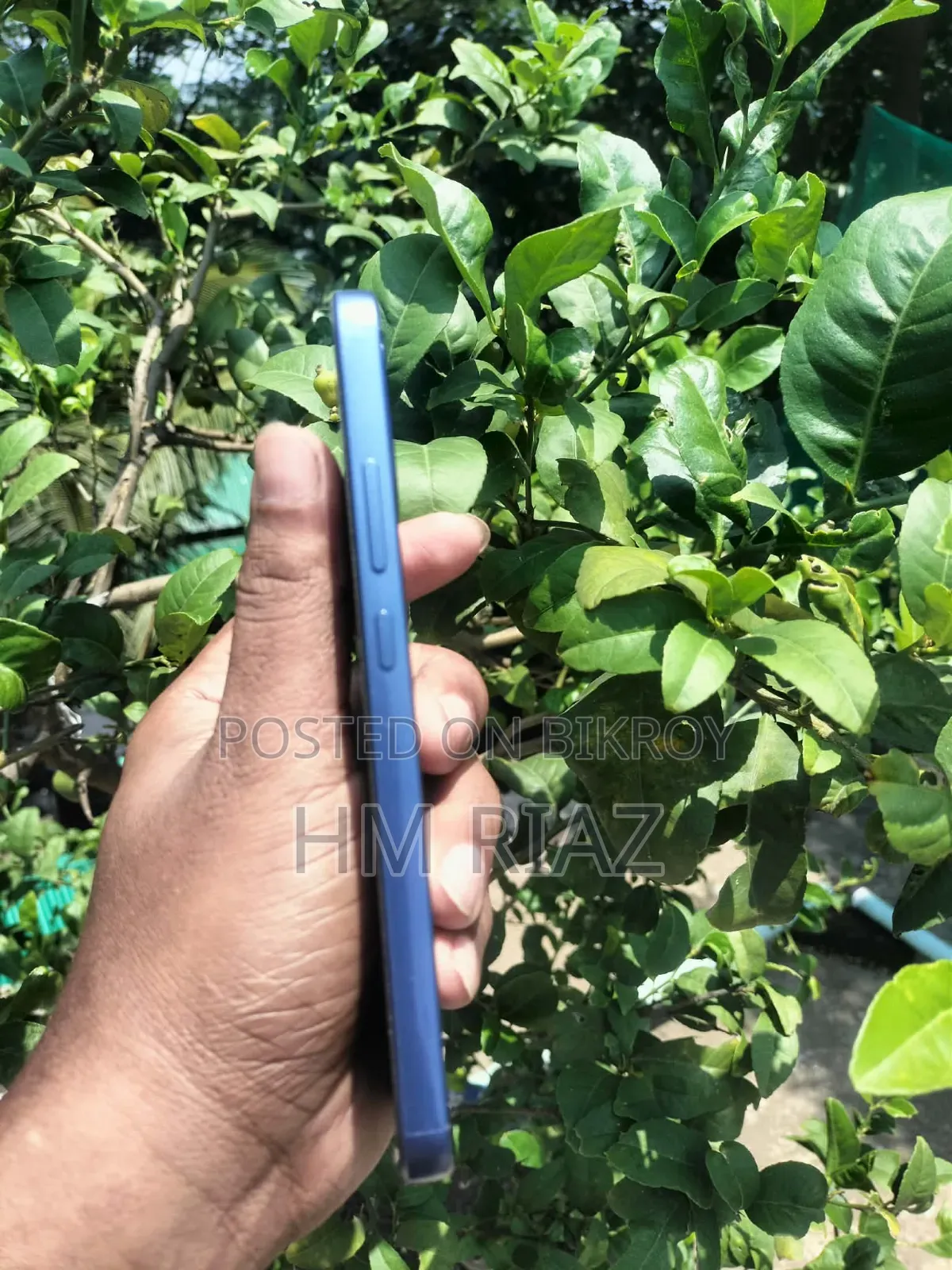 Oppo A6 Pro 256 GB Blue