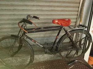 Bicycle Tata