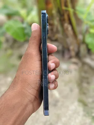 Apple iPhone 12 Pro Max 512 GB Blue
