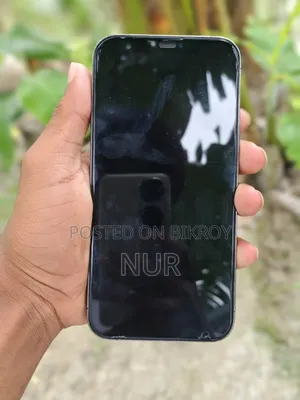 Apple iPhone 12 Pro Max 512 GB Blue